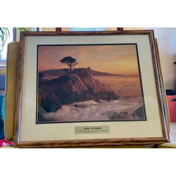 Large Lone Cypress Print By John Gronert In Matted Wood Frame Vintage - Picture 8 of 8